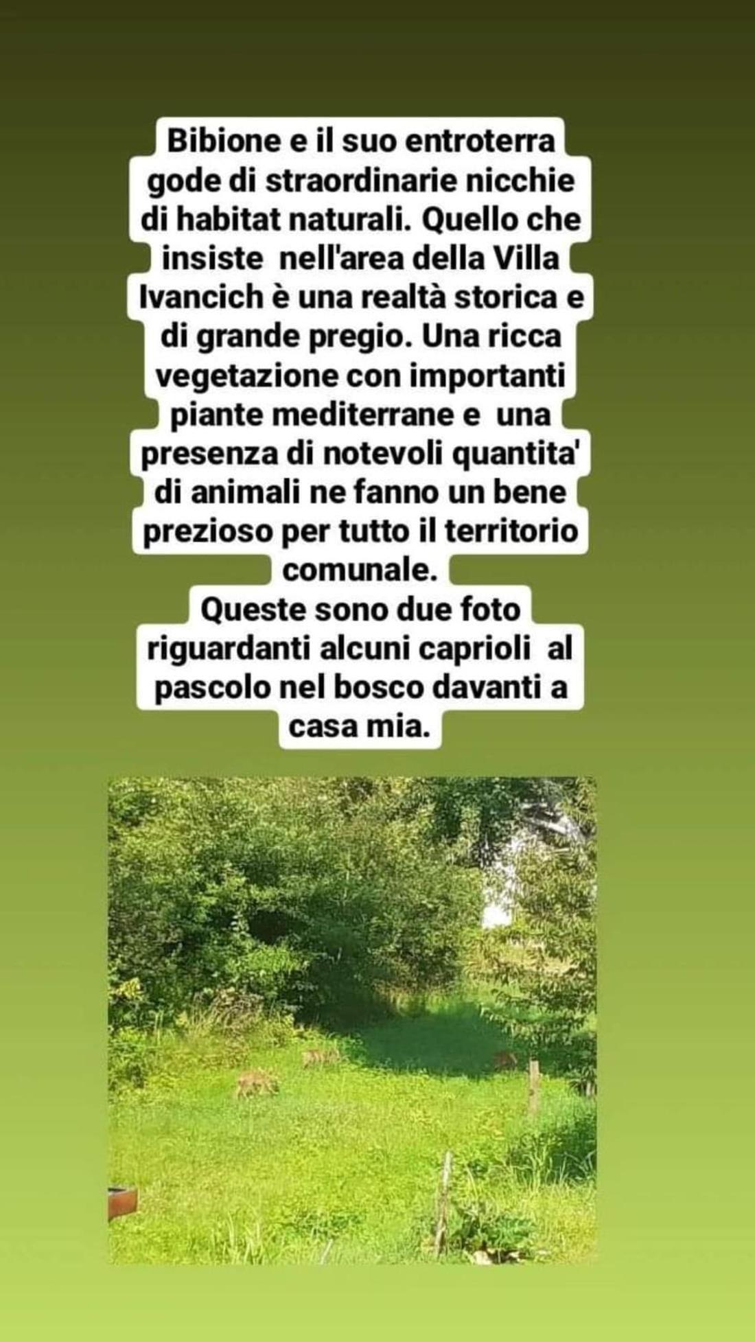 B&B Casa Di Chiara San Michele al Tagliamento Exterior photo
